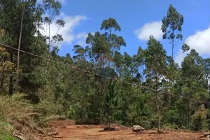 Terreno Área ¨C¨ Mury 2.364,41 m2