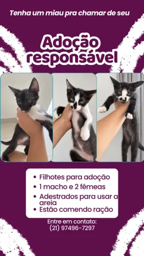 Adoção