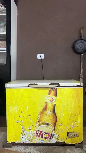 Freezer Horizontal 