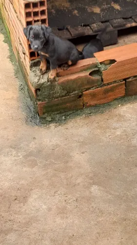 Venda ou troca do meu interesse.