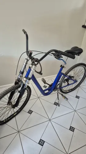 Bicicleta adulta