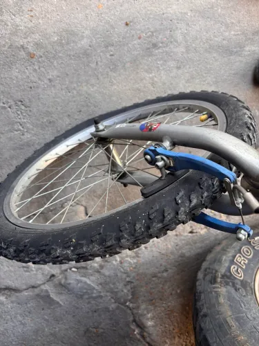 Bicicleta 