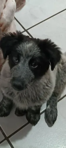 Doação