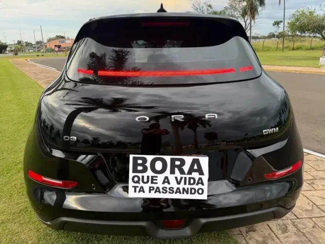GWM Ora 03 Skin (elétrico) 2024