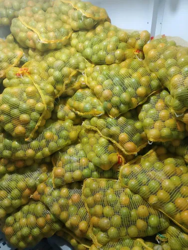Fornecedor de laranja e sucos
