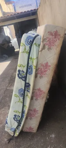 Cama 