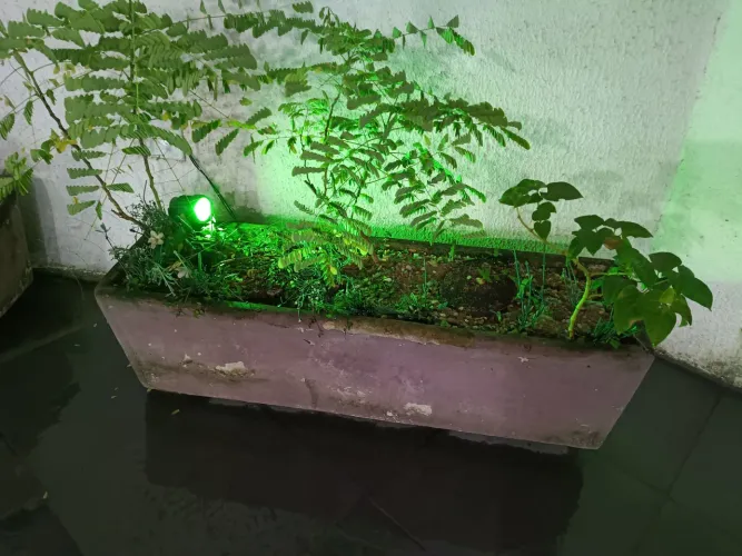 Vaso com planta // jardineira