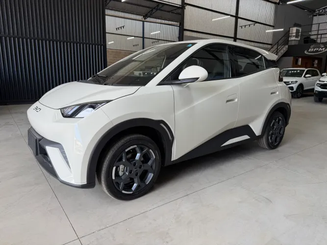 BYD Dolphin Mini GL 2027