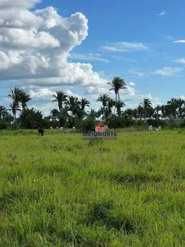 Fazenda com 1 dormitório à venda, 14400000 m² por R$ 2.500.000,00 - Arari - Zona Rural - A