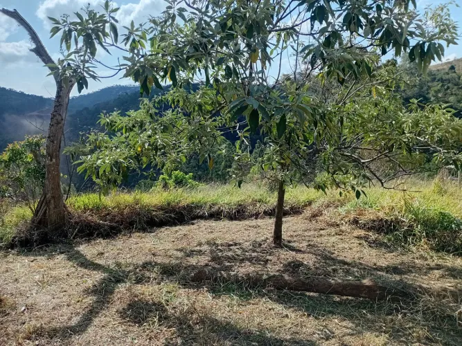 Chácara no Samambaia 1000mts