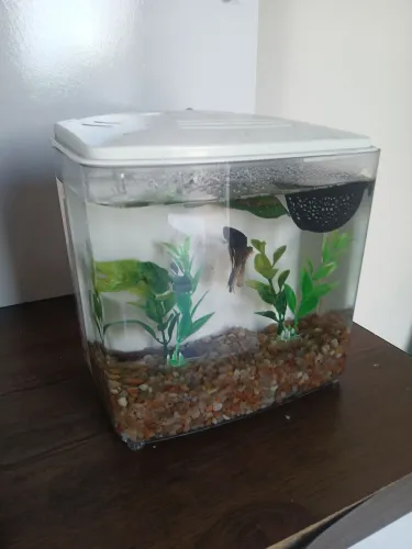2 aquários pra venda.