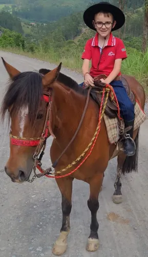 Égua criola sangue puro com documento 