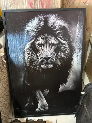 Quadro leão.