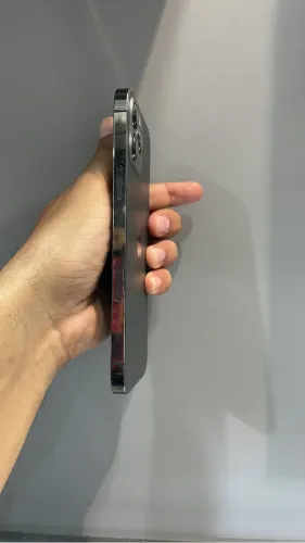 12 pro Max