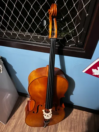 Violoncelo semi-novo Vivace Beethoven 4/4