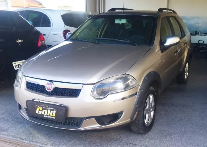 Fiat Palio Weekend Trekking 1.6 Flex 16V 5P 2013