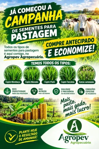 SEMENTES PARA PASTAGEM