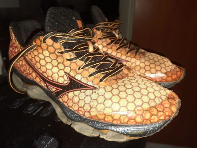 Mizuno prophecy abelha original 41