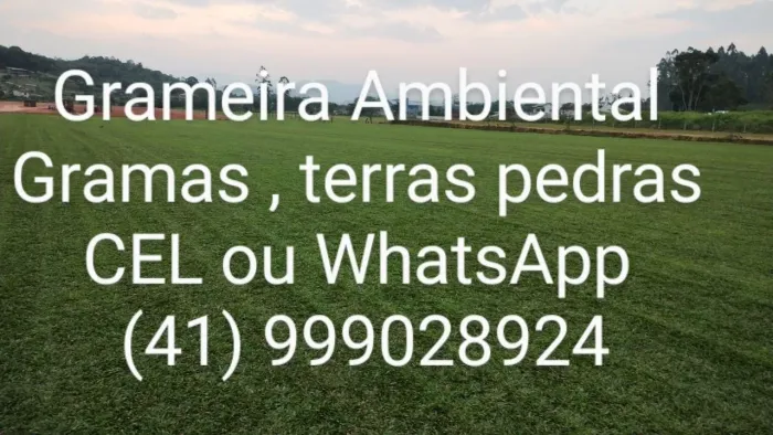 Gramas terra preta 
