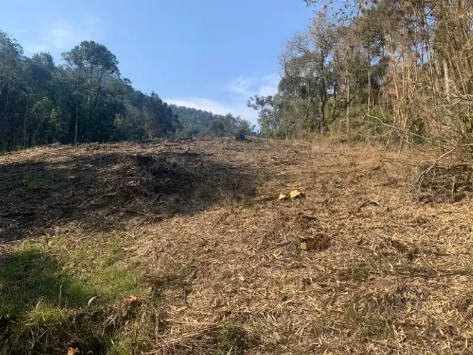Chácara à venda em Santa Tereza, Urubici-SC
