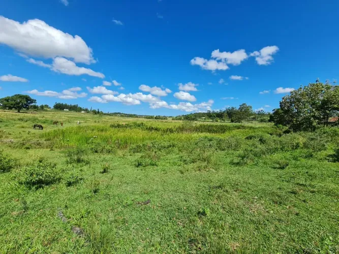 Araruama - Fazenda com 52 alqueires
