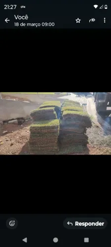 Terra preta penerada e gramas 