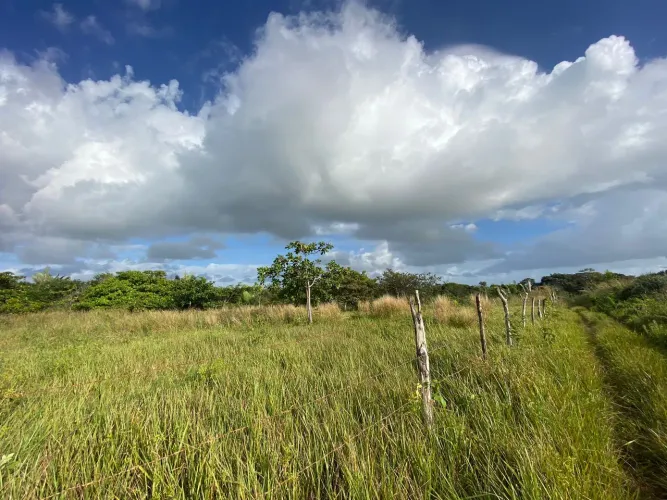 TERRENO À VENDA - 1.600m² - PANAQUATIRA