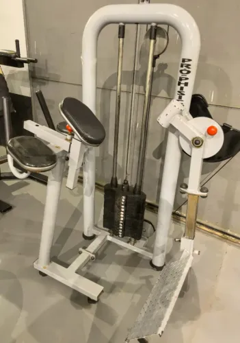 Máquina glútea Vertical, marca Pro Phisycus, cinza, semi nova