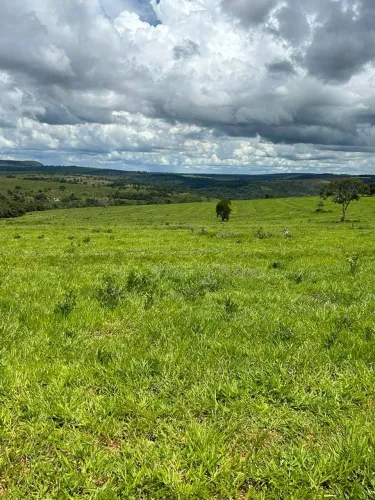 Imóvel rural no Centro em Mineiros