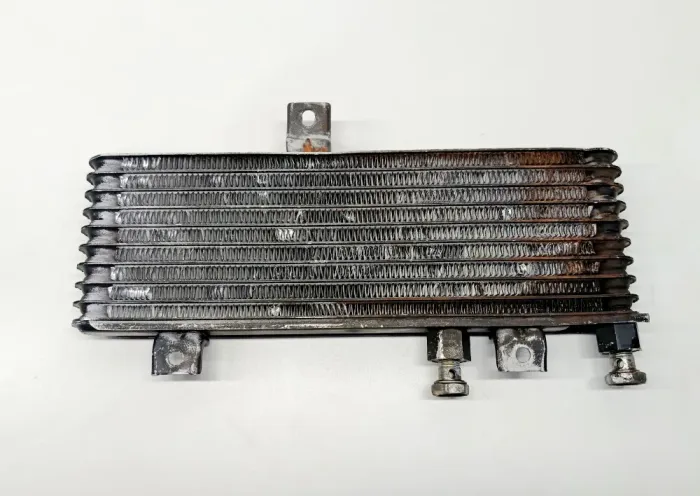 Radiador Oleo L200 Outdoor 2.5 04/12 50499