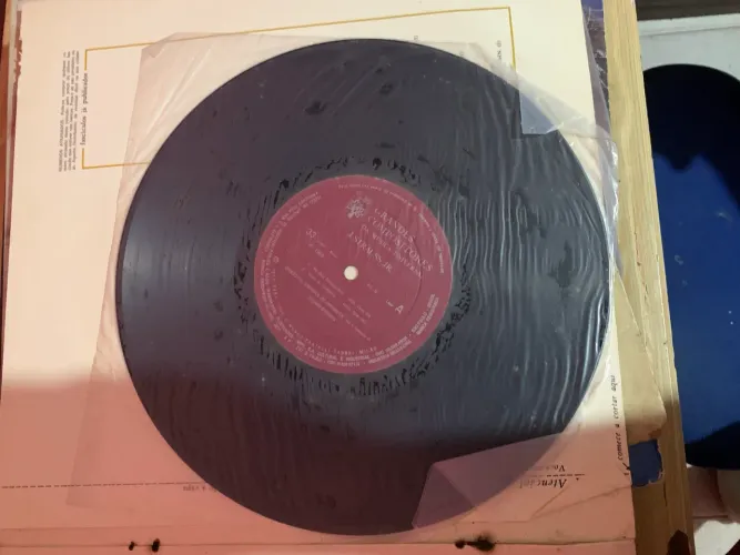 Vinil Strauss
