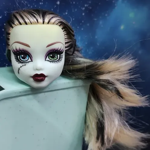 Boneca Monster High cabeça Frankie para Customização, Reparo, Substituição, Sucata