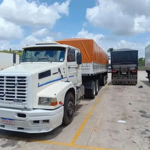 Vendo conjunto carreta volvo NL 10