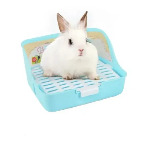 Banheiro Sanitário Para Roedores Mundo Roedor Rabbith Toilet