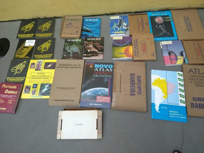Lote de livros