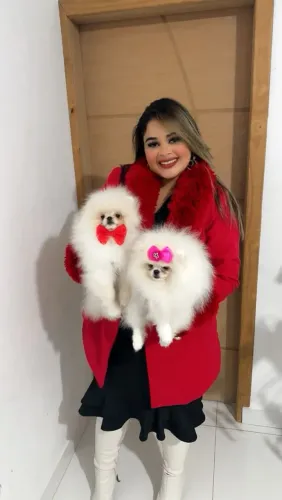 Lulu da pomerania