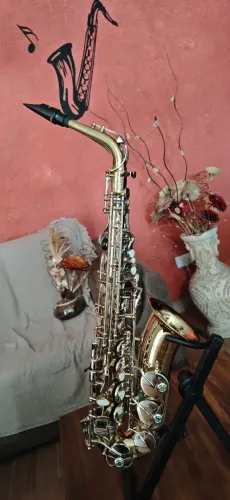 Torrando Sax Selmer