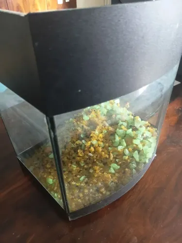 Aquário 9 litros