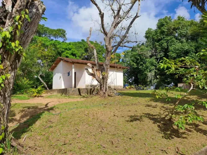 Fazenda de 10 Hectares no Núcleo Colonial de Abrantes Excelente Oportunidade de Investime