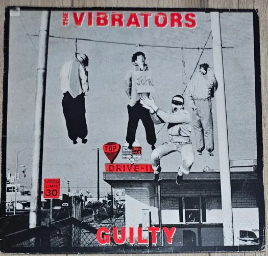 Disco de vinil vibrators