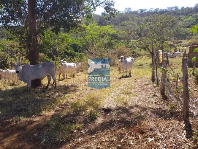 Sítio para Venda SITIO ESTANCIA MONTE OLIMPIO, Descalvado