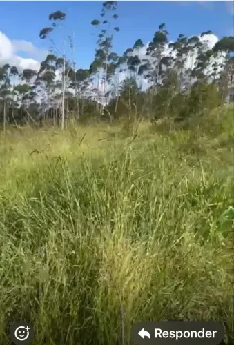 Terreno de chácara em Piedade