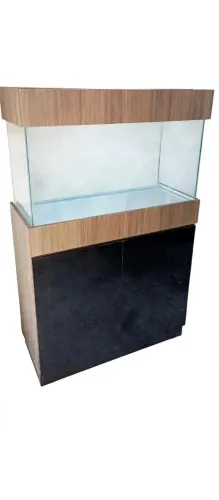 Promoção Aquario 