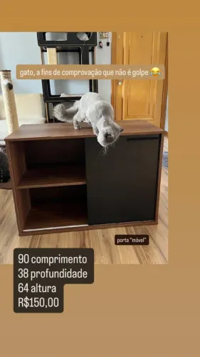 Armário Médio para Escritório ou Sala