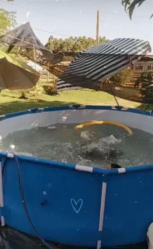 Piscina Redonda de Armação 5000 Litros