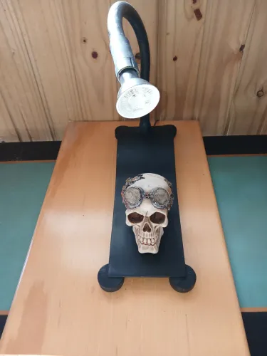Luminaria Skull