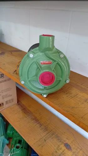 Motor Bomba Centrífuga 3/4 CV - Mod W56J