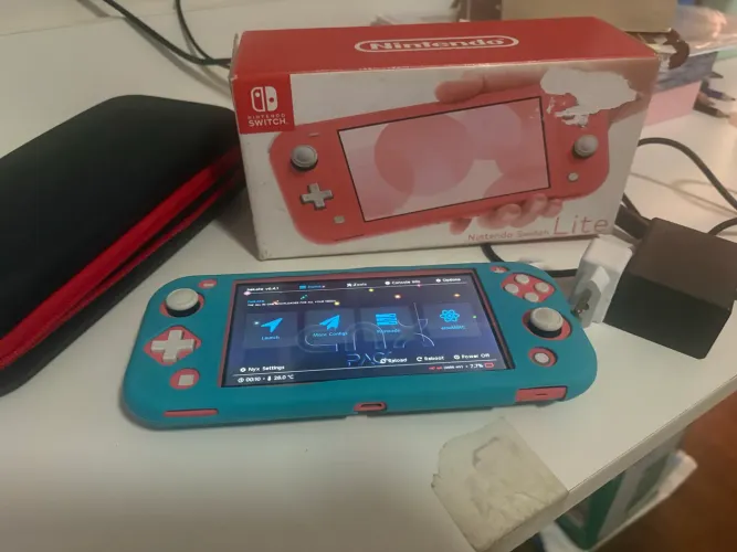 Nintendo switch lite