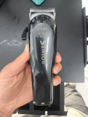 Wahl sênior 
