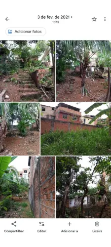 Terreno murado, arborizado com árvores frutíferas